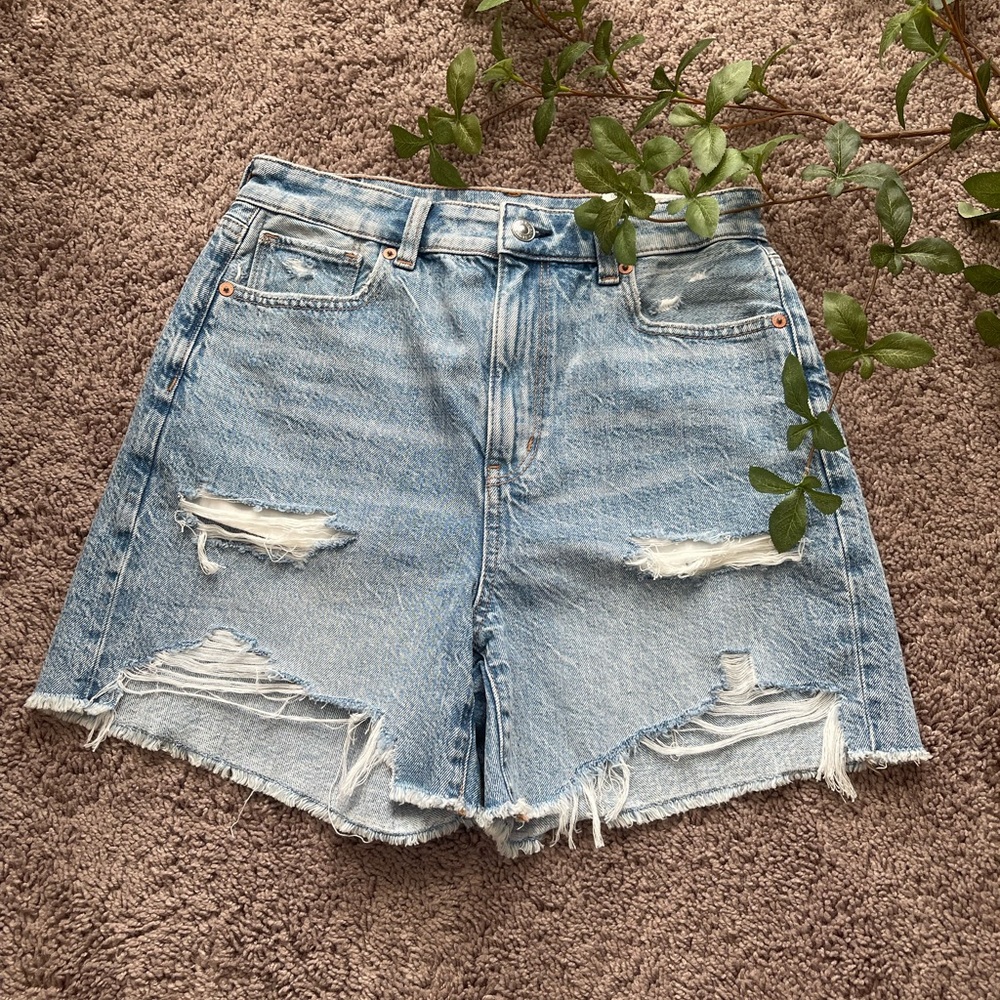 American Eagle Baggy Mom Short